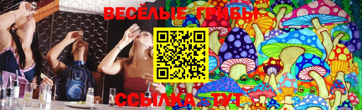 Тольятти  Псилоцибиновые грибы Magic Shrooms  наркошоп  Вход с VPN  Галлюциногенные грибы ЛСД 